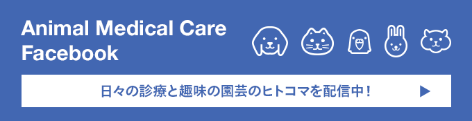 アニマルメディカルケア公式facebook-日々の診療のヒトコマを配信中！